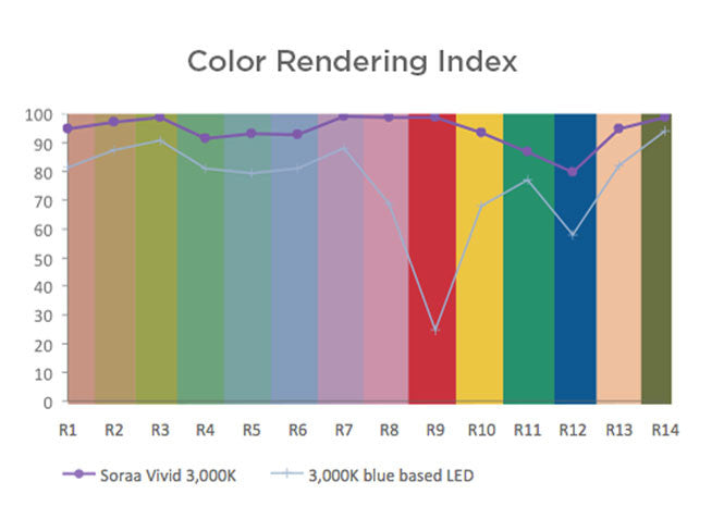 Superior Rendering of all Colours with SORAA Vivid Series LED Lighting