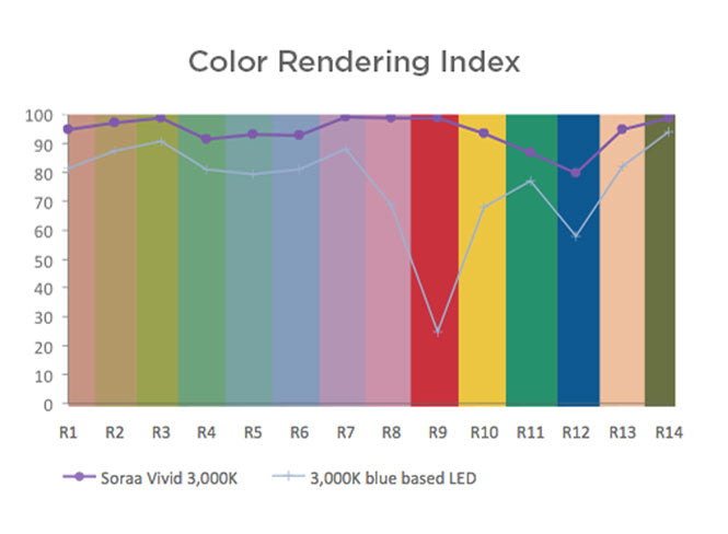 Superior Rendering of all Colours with SORAA Vivid Series LED Lighting